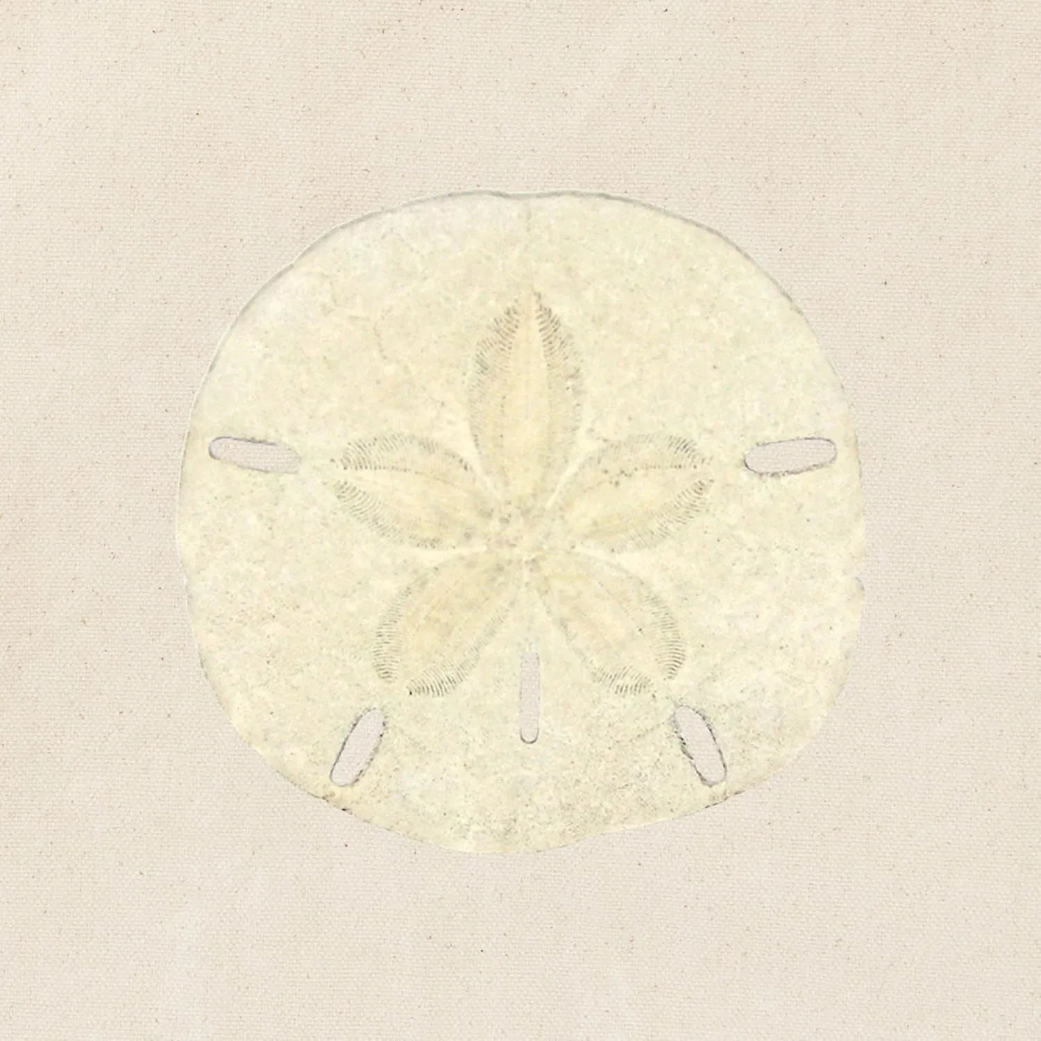 CafePress Sand Dollar Logo Tote Bag Natural Canvas Tote Bag, Reusable Shopping Bag